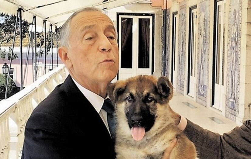 Marcelo Rebelo de Sousa é, também, um grande defensor dos animais e acaba de aprovar a lei que faz com que estes deixem de ser considerados como objetos.