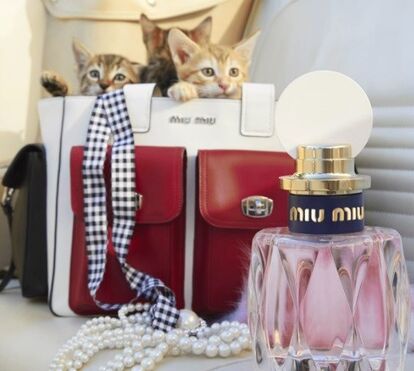 Uma nova fragrância fresca e viva: Miu Miu L'eau Rosée