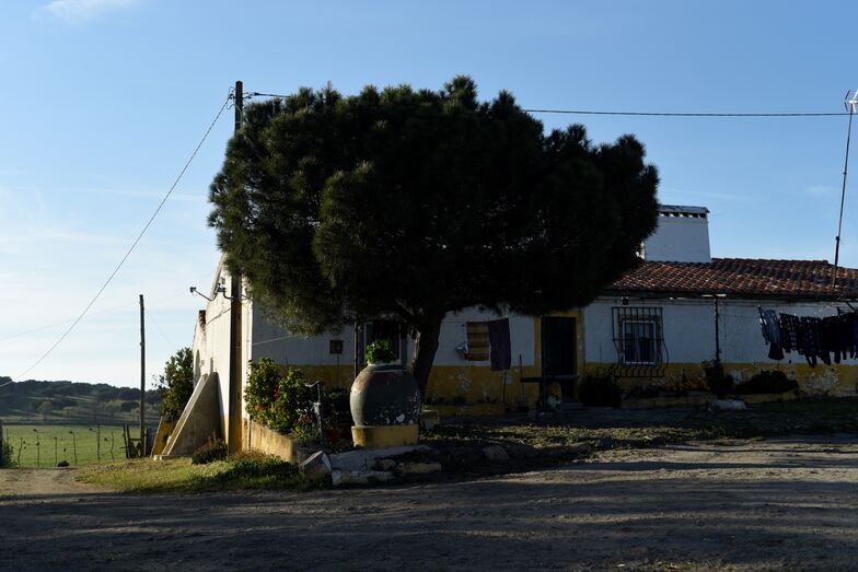 Agricultor de Elvas na verdade não é dono de nada