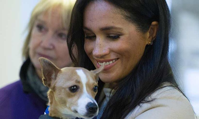 Meghan Markle