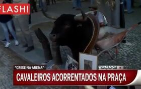 Toureiros acorrentam-se no Campo Pequeno em protesto contra proibição de touradas